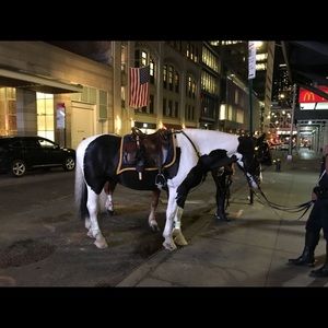 Meet your Posher, Jeffrey